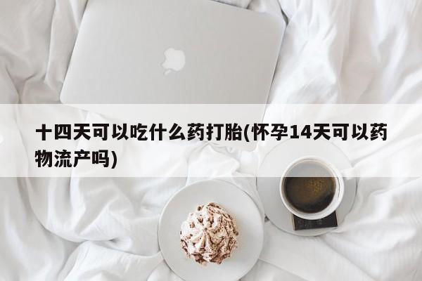 流产药微信买在线下单十四天可以吃什么药打胎(怀孕14天可以药物流产吗)